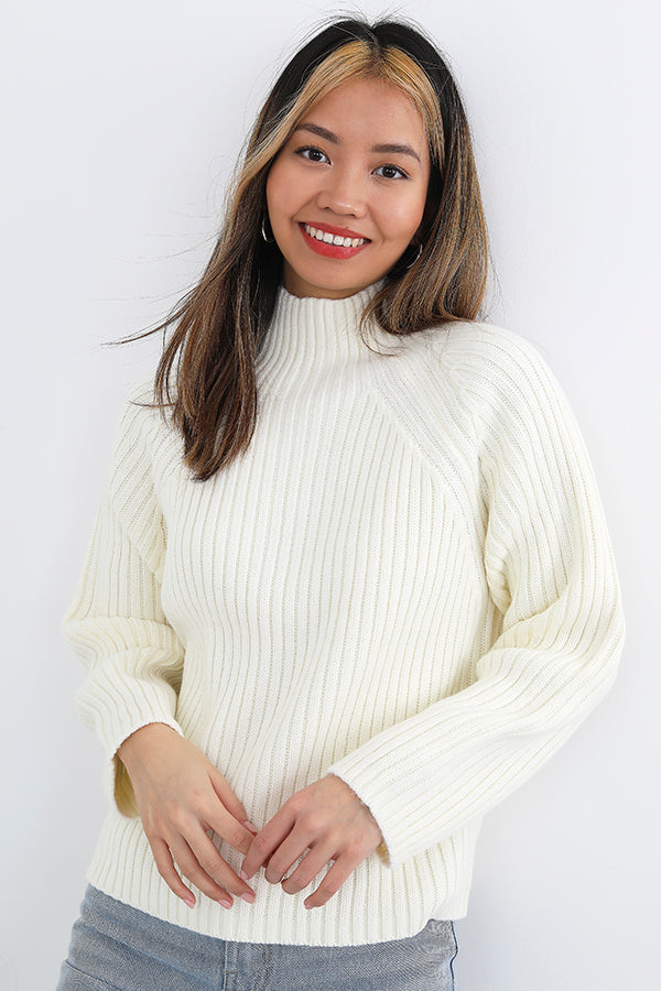 Plain Ivory Ribbed Knit Turtleneck Jumper