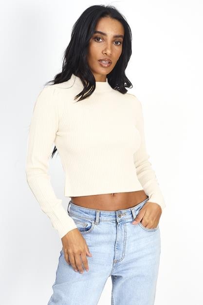 Ivory Plain Ribbed Turtleneck Cropped Jumper
