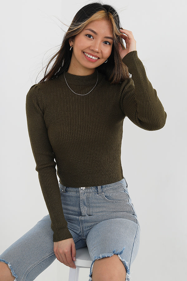Khaki Plain Ribbed Turtleneck Cropped Jumper
