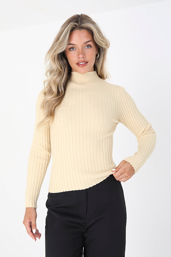 Turtle Neck Rib Jumper