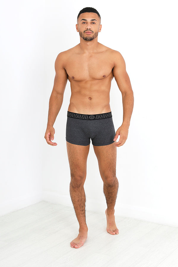 Metallic Jacquard Logo Detail Five Pack Boxers