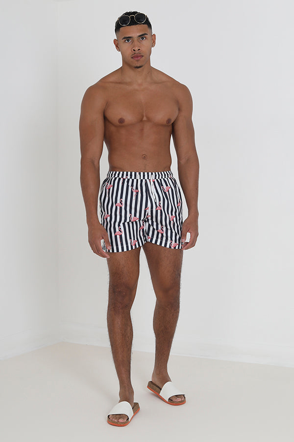 Navy/Pink Stripe Flamingo Print Swimshorts