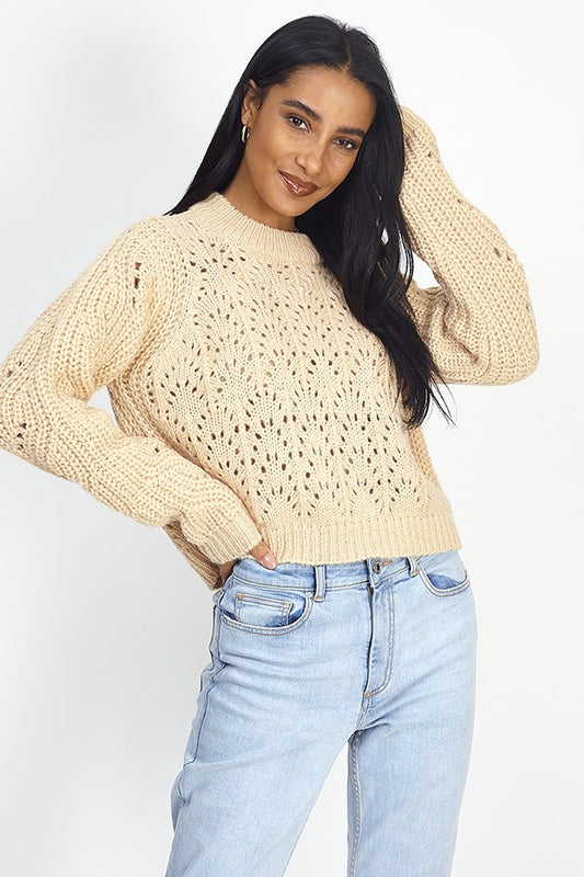 Pointele Design Fisherman Rib Knit Jumper