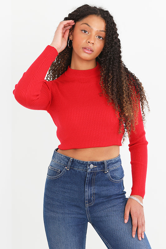Scarlet Red Plain Ribbed Turtleneck Cropped Jumper