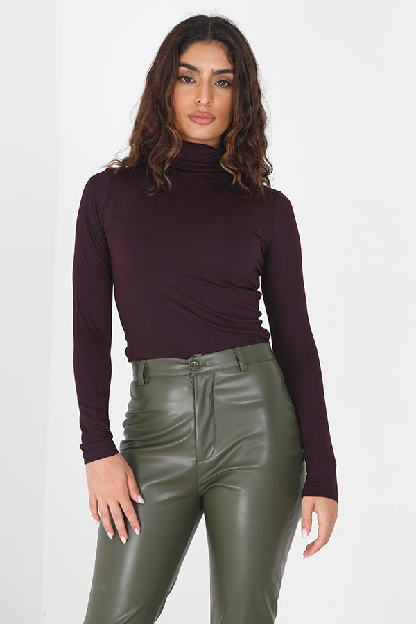 Wine Roll Neck Bodycon Fit Long Sleeve Top