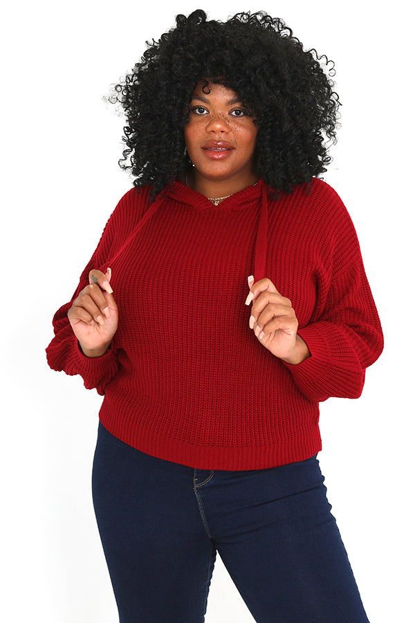 Plus Size Fisherman Rib Knit Hooded Jumper