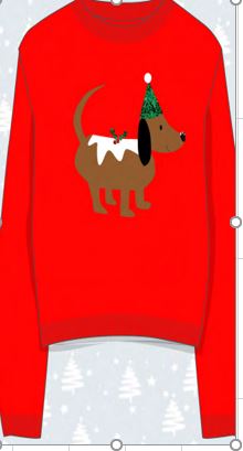 Christmas Dasher Dog Alique Jumper